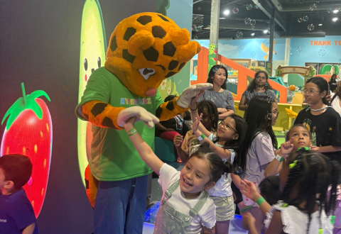 Indoor Playground Bolingbrook